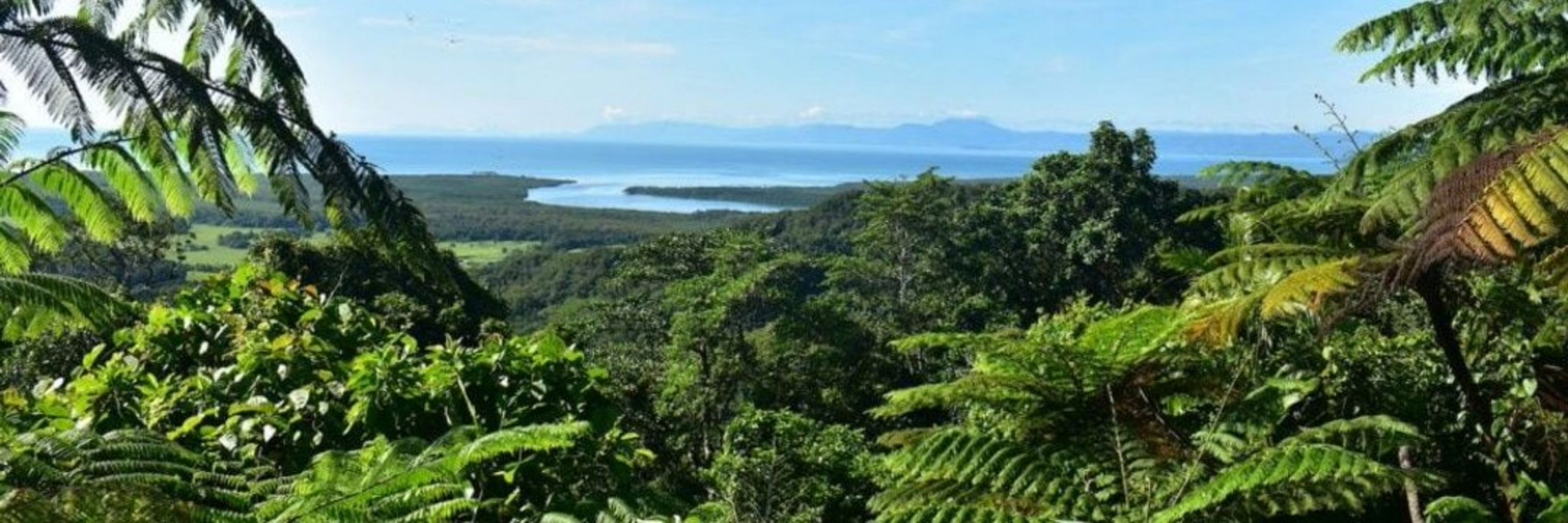 Treemissions