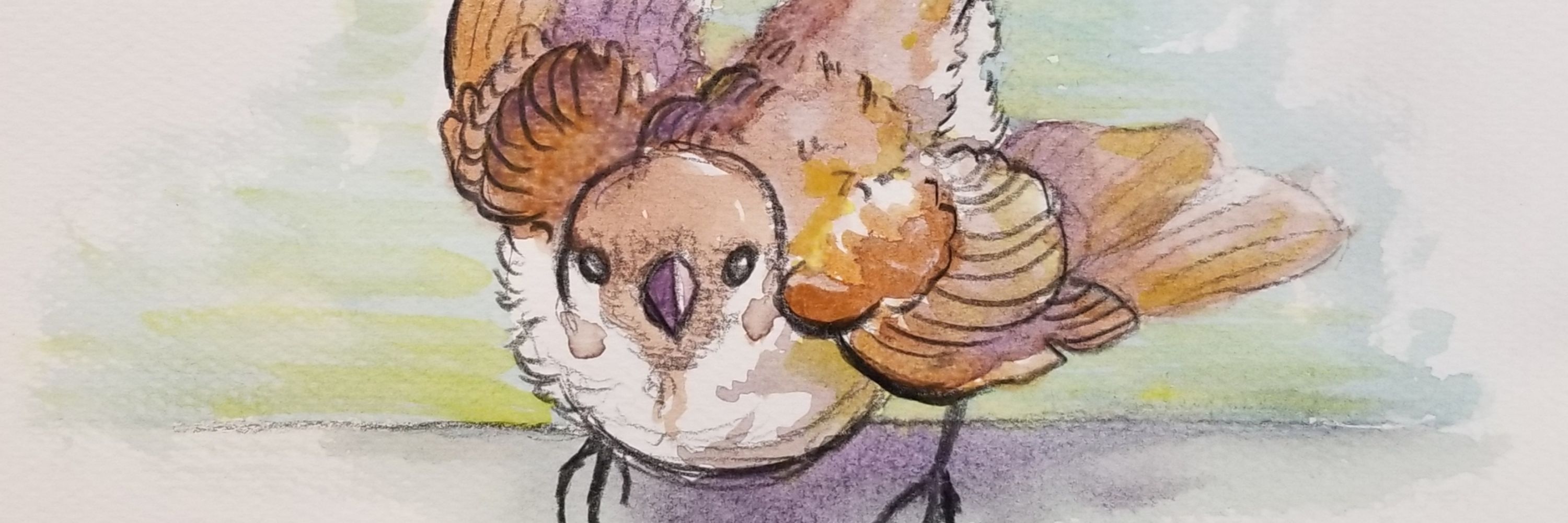 Sparrowdown