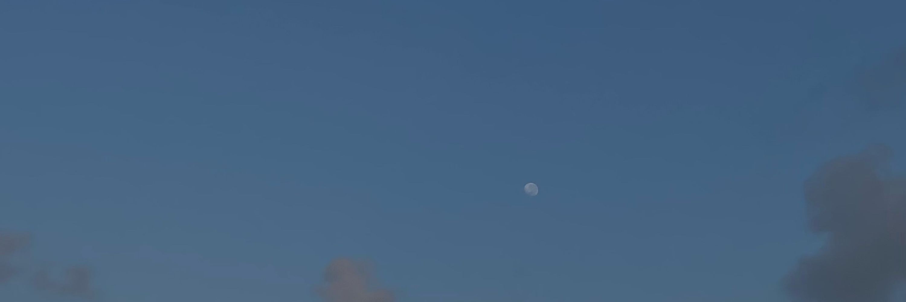 luliprinha