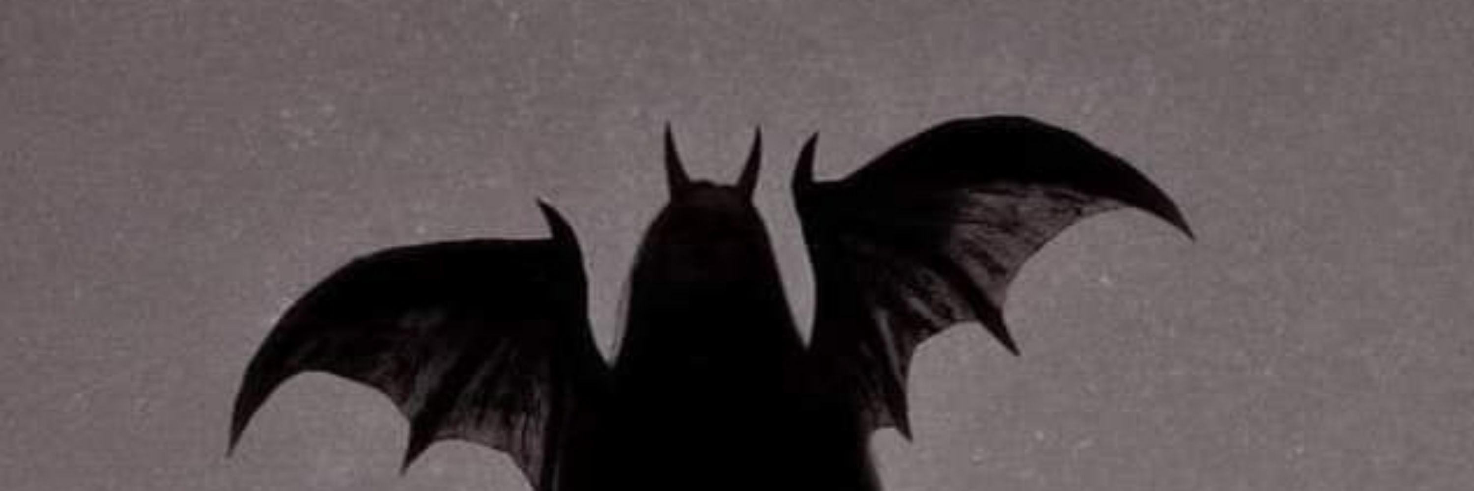 🖤𝖒𝖎𝖈𝖍𝖊𝖑𝖑𝖊🩷
