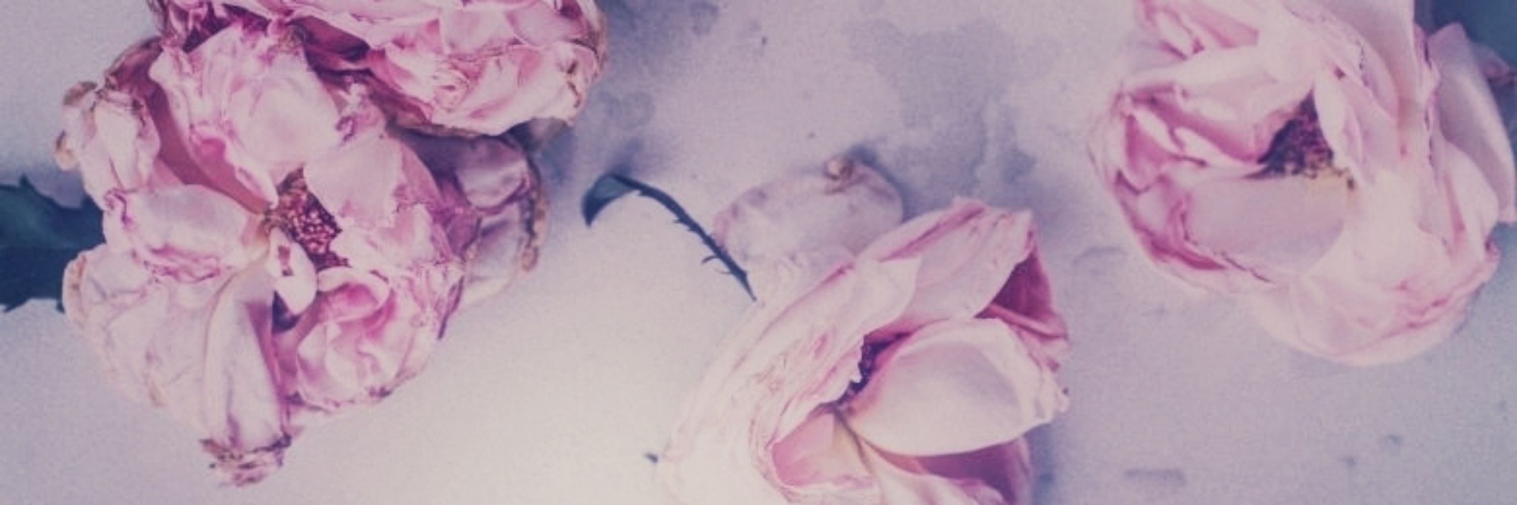 ⠀⠀𝓢𝓲𝓶𝓸𝓷𝓮.