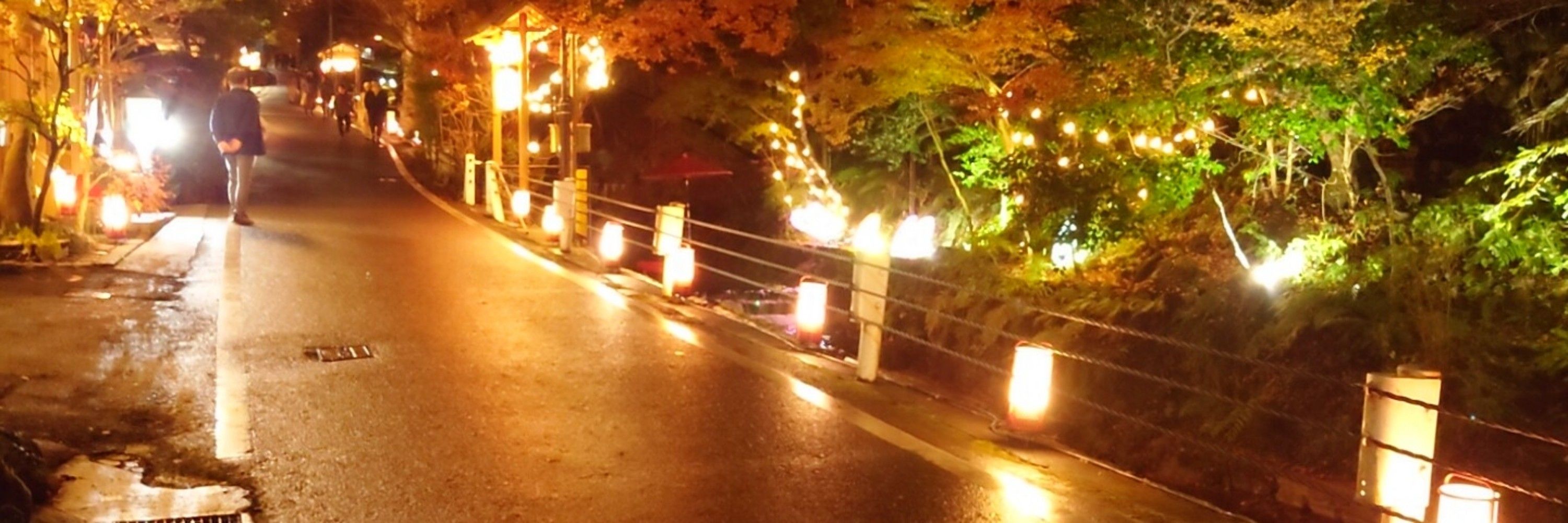 コージィ