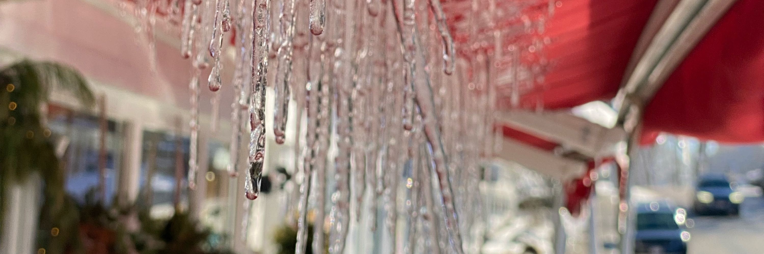 Boston Forecasts