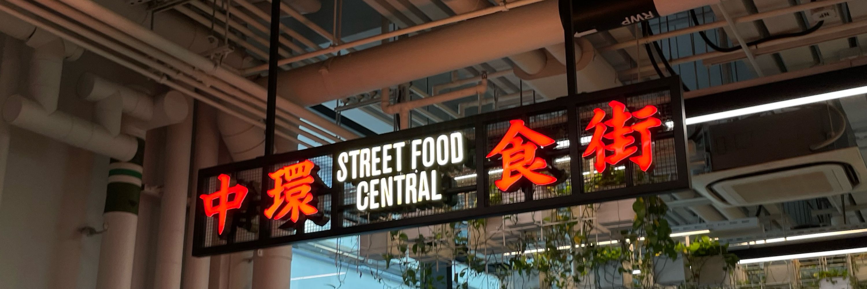 杰森不是林