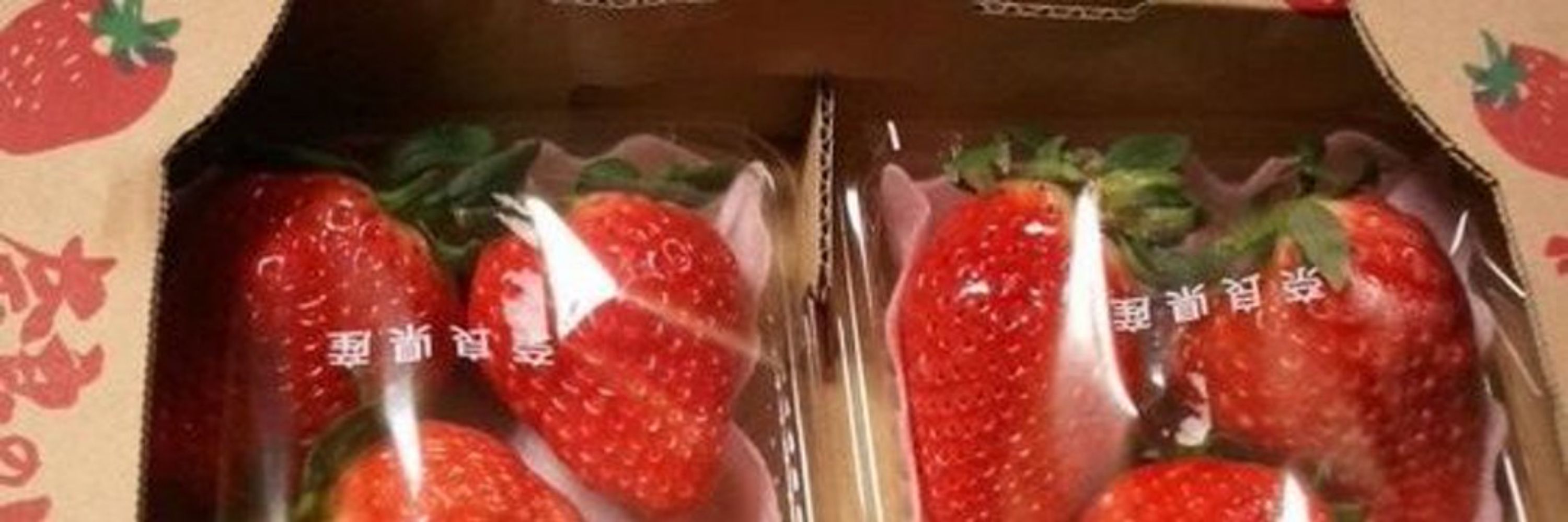 Lumi 🍓