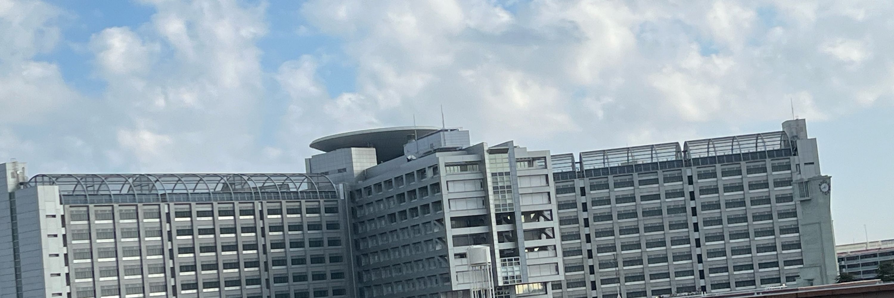 スクイズ愛好家