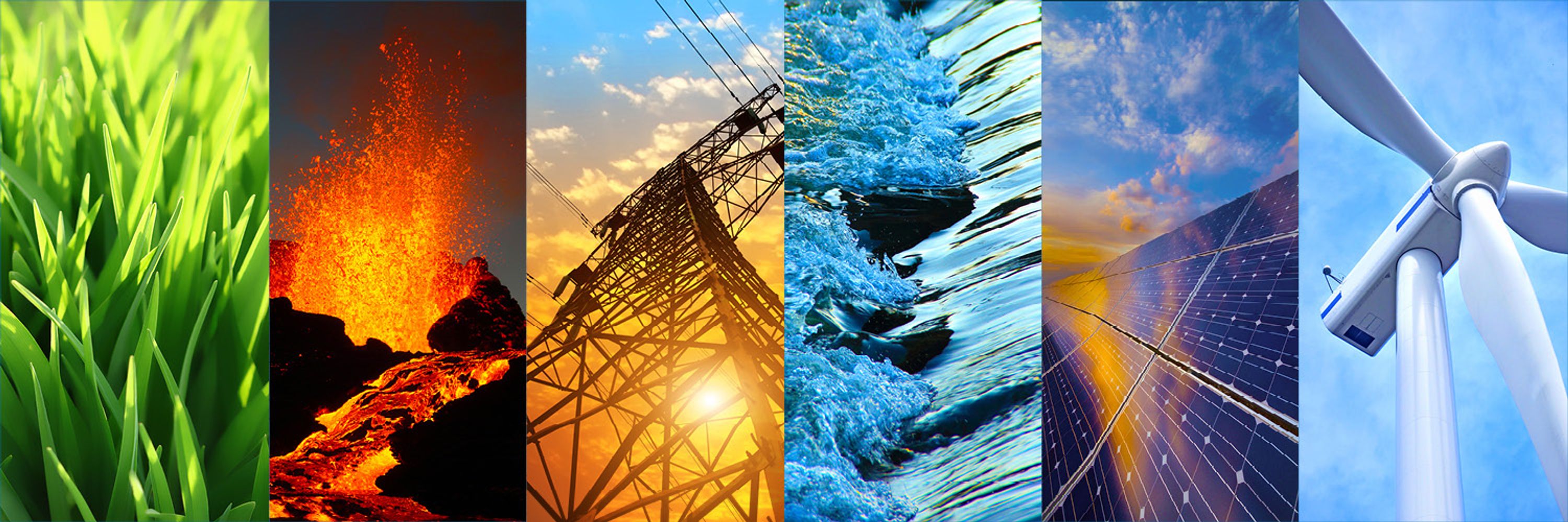 International Renewable Energy Agency (IRENA)