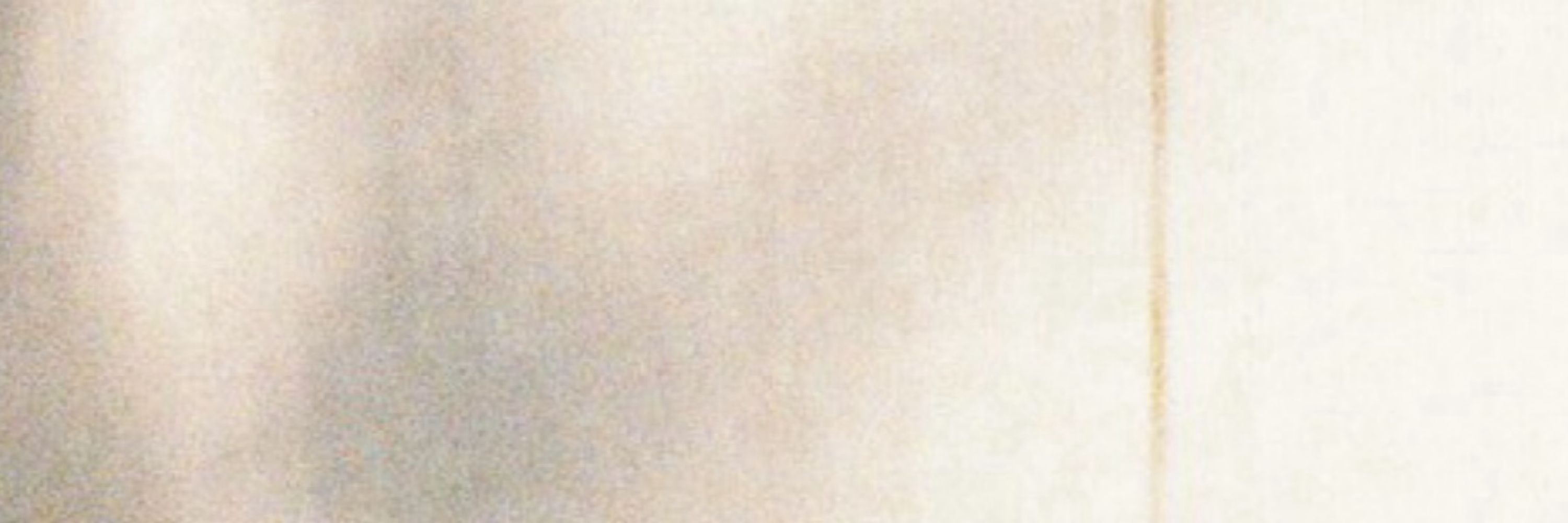 𝘀𝘂𝗶𝘀𝗼𝘂