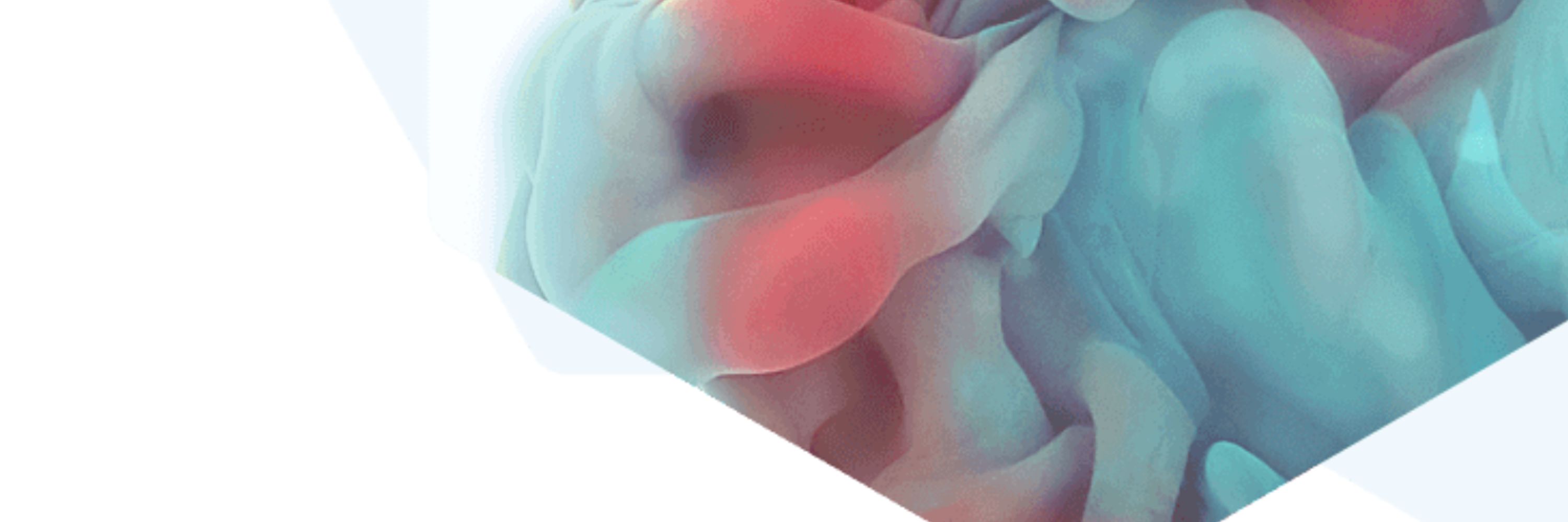Institute of Chemical Process Fundamentals of the CAS