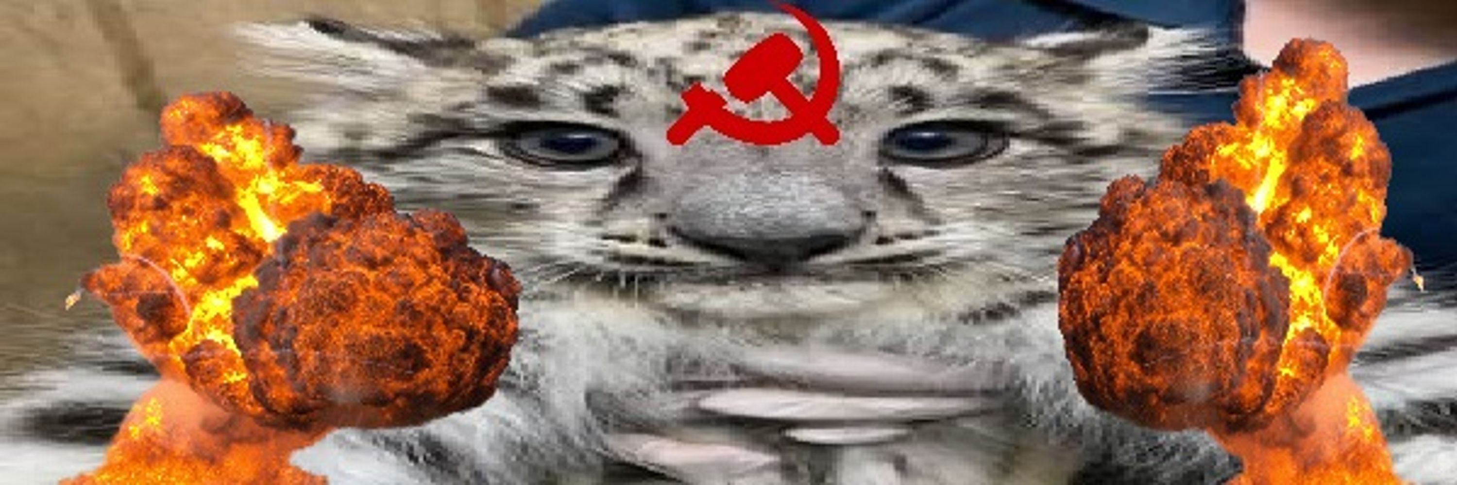 🌸🔻Nyxite ☭ 📕