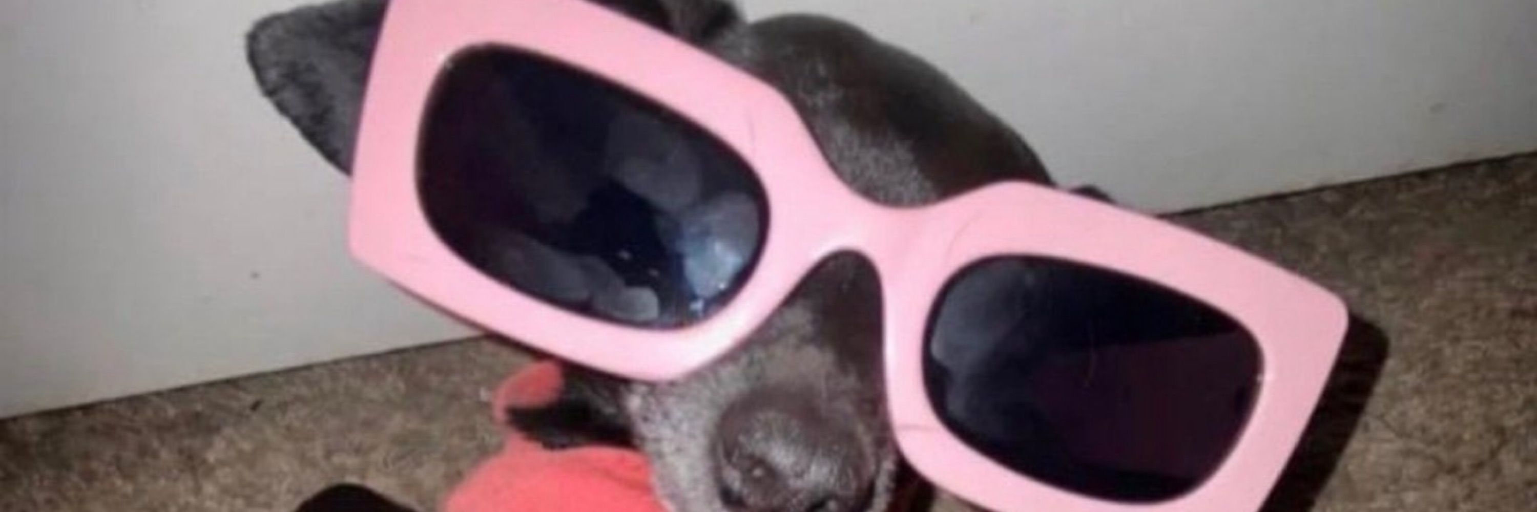 👀