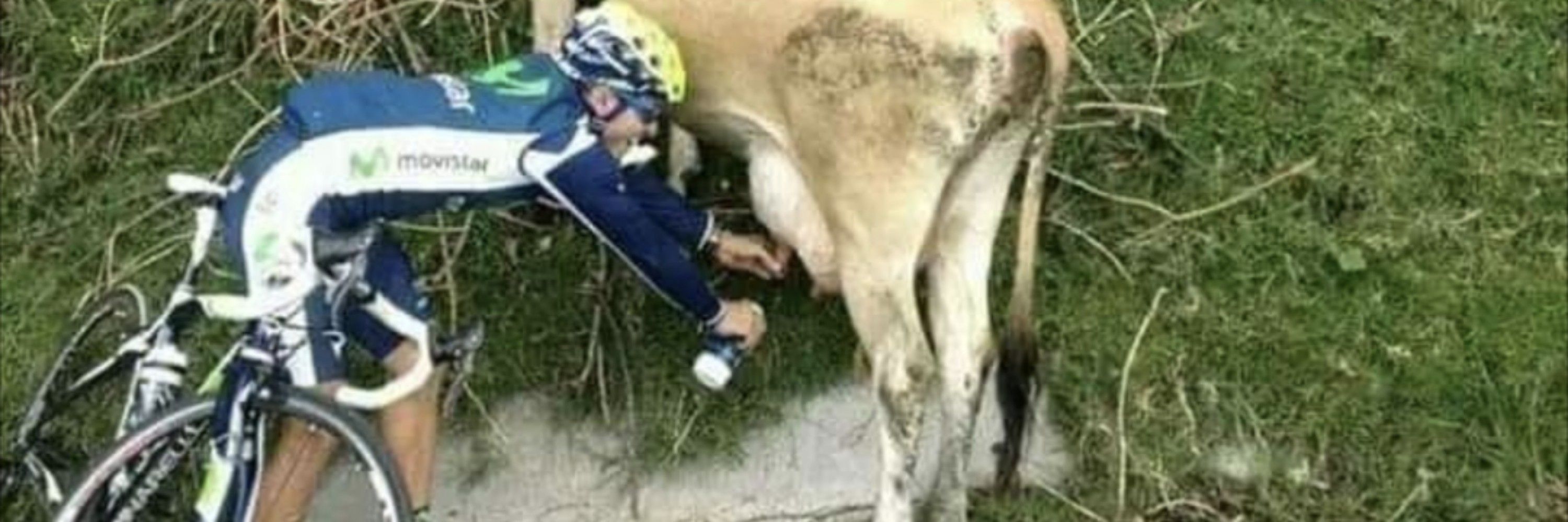 Best Samaritan 