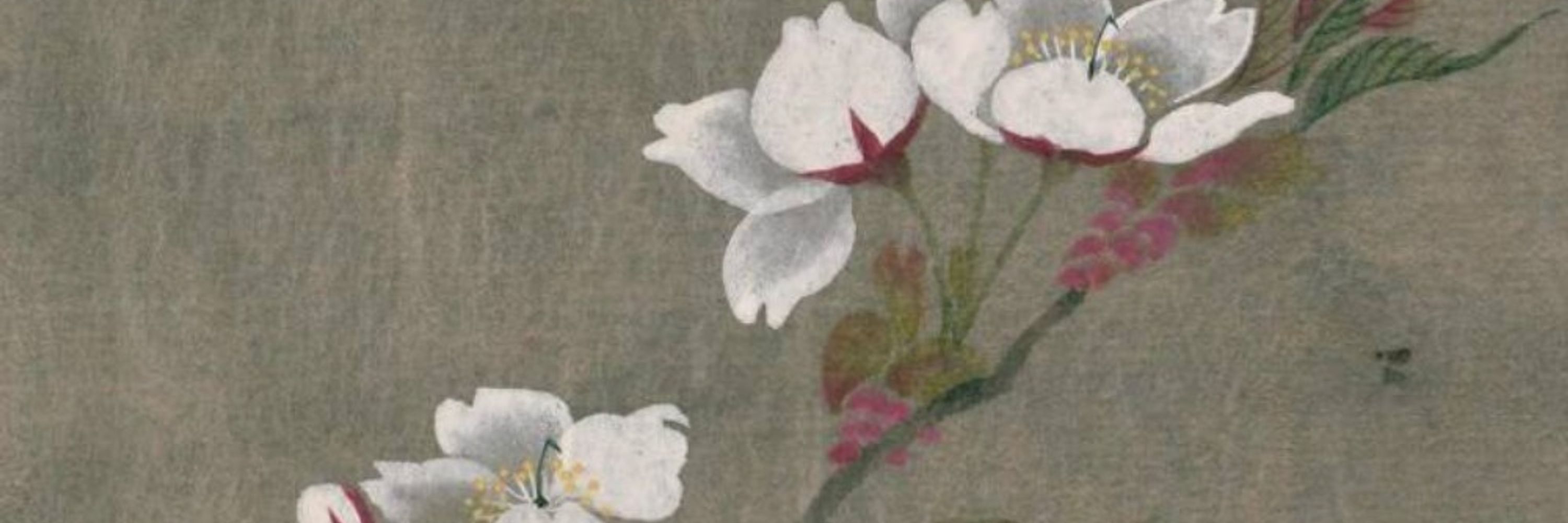 裏野
