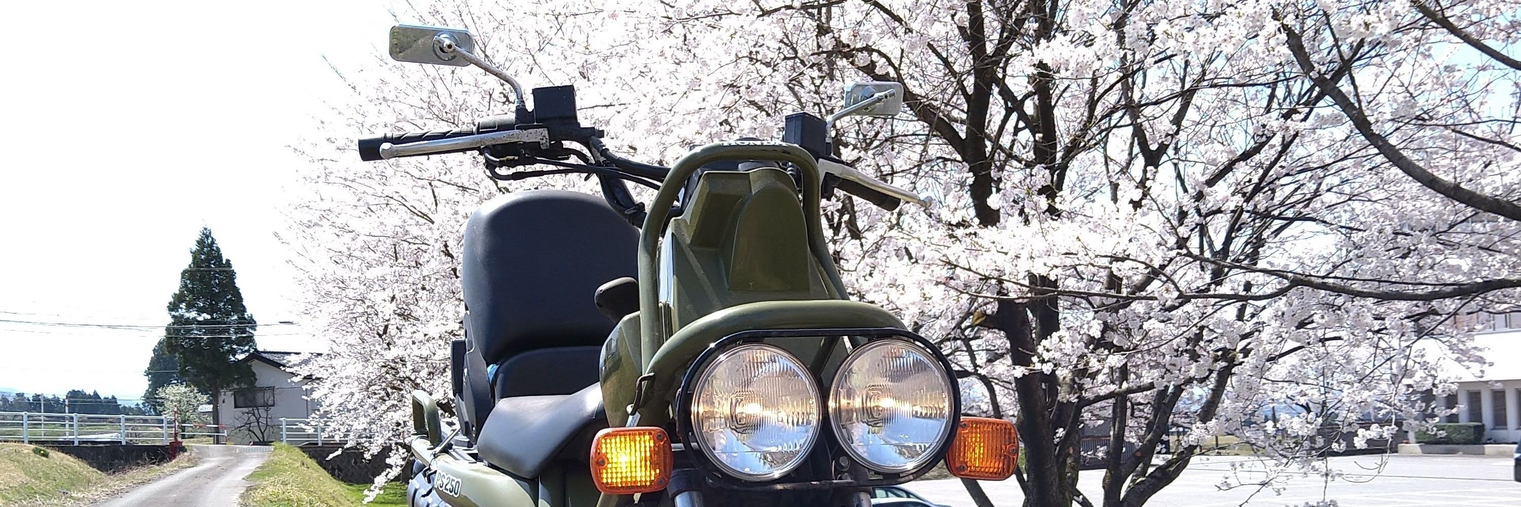 なお☆にゃお謎車塾塾長