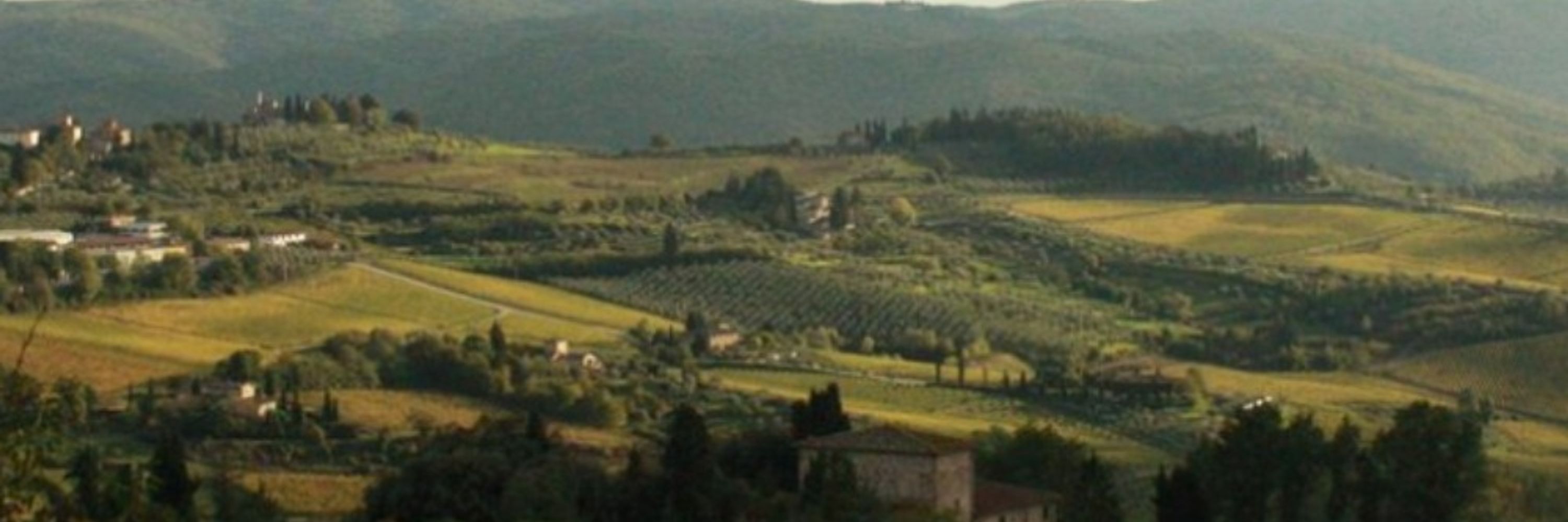 Antoni-Italo de Moragas