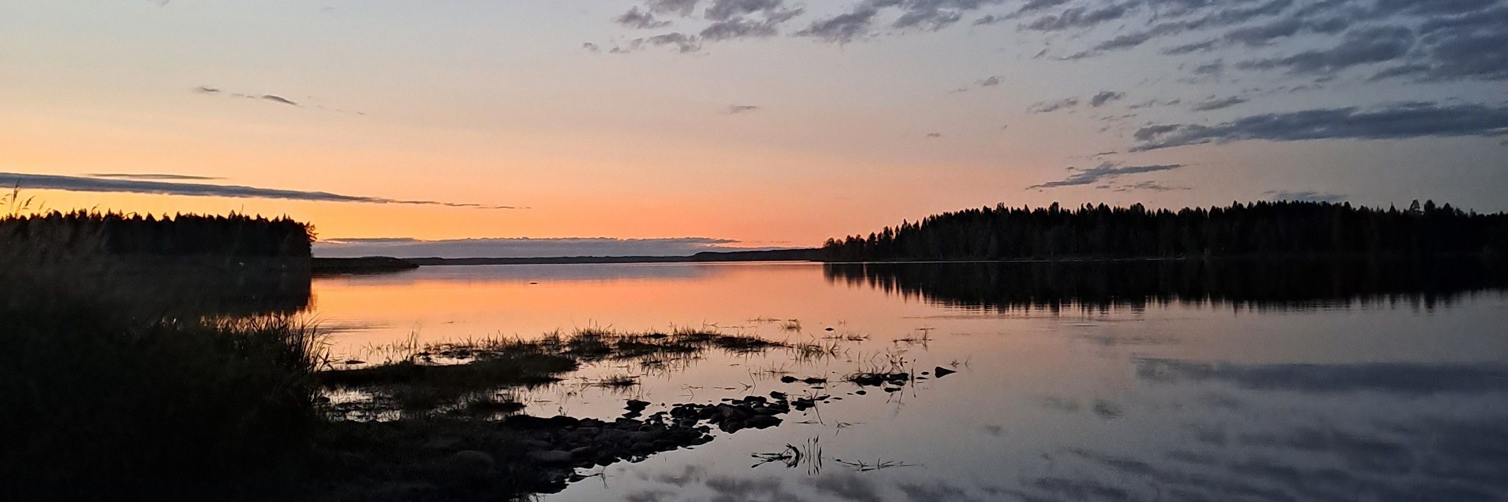 Ansku