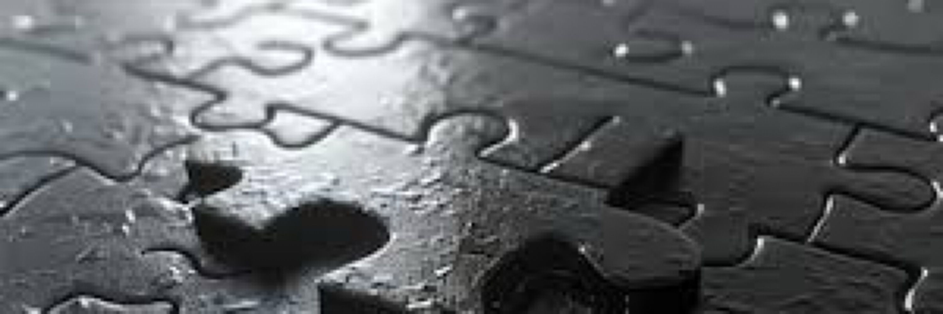 This Puzzled Life
