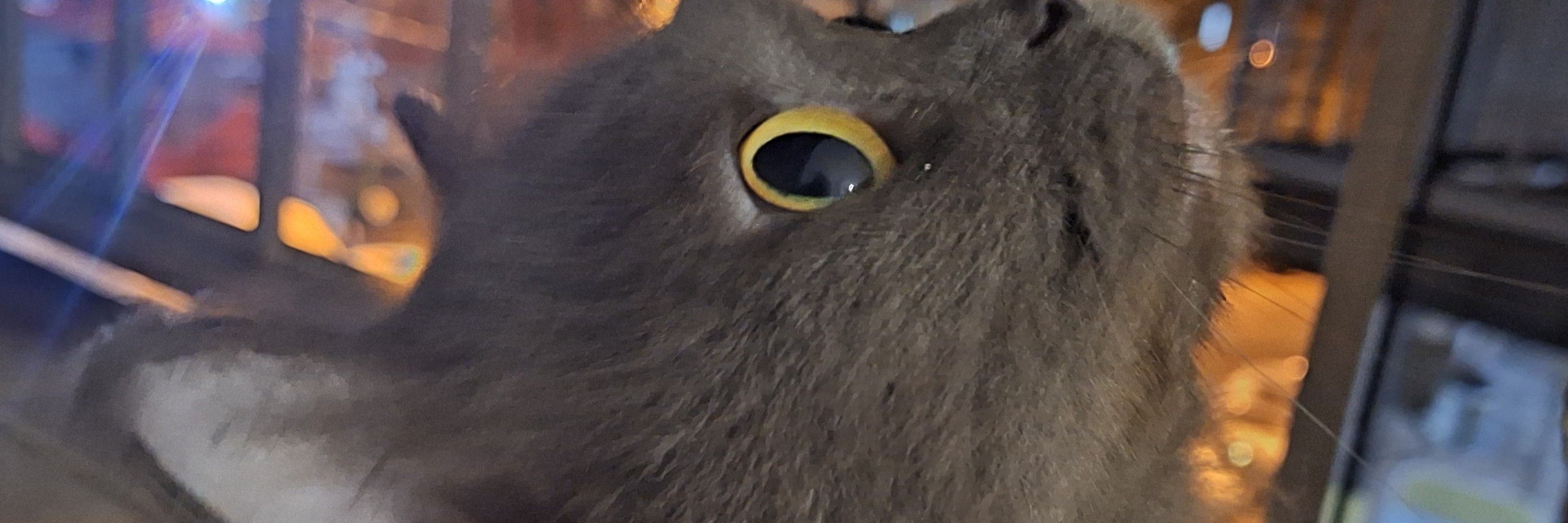 Júnior