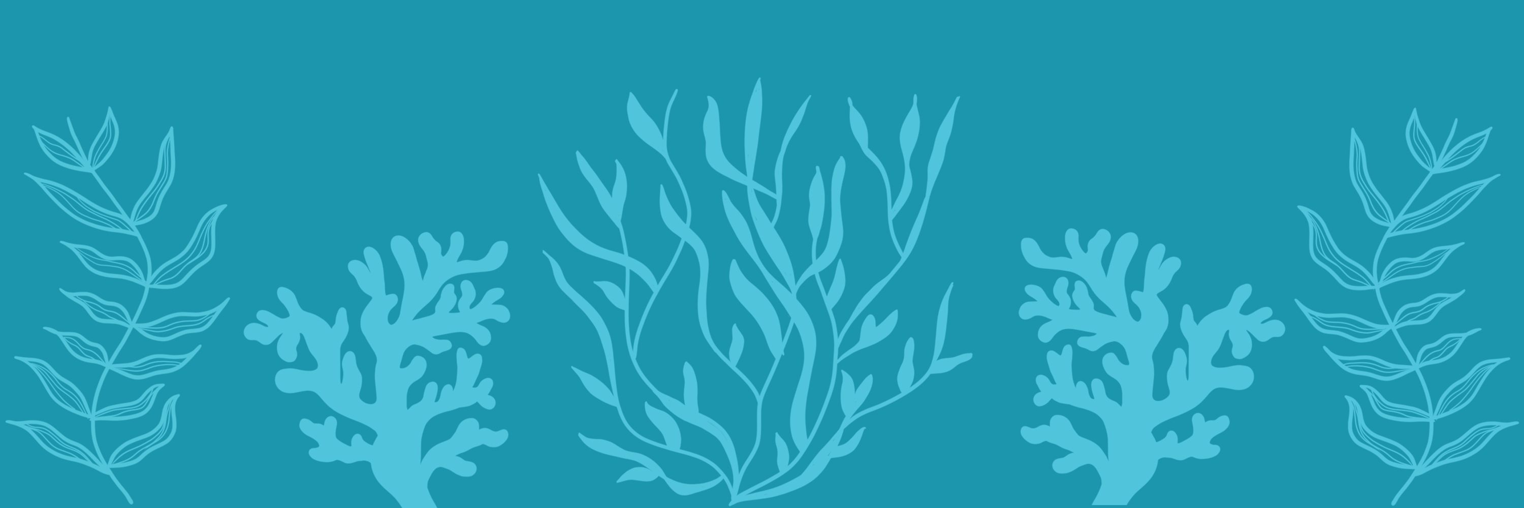 BonJawsRed