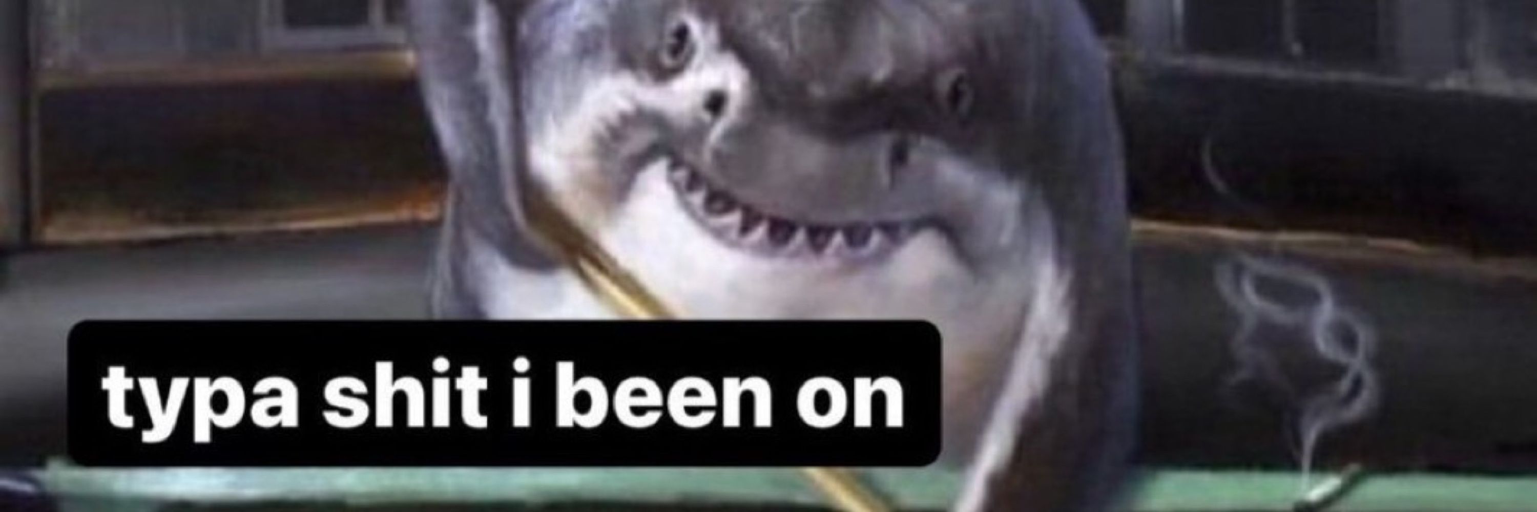 PlaneShark ➡️ FWA
