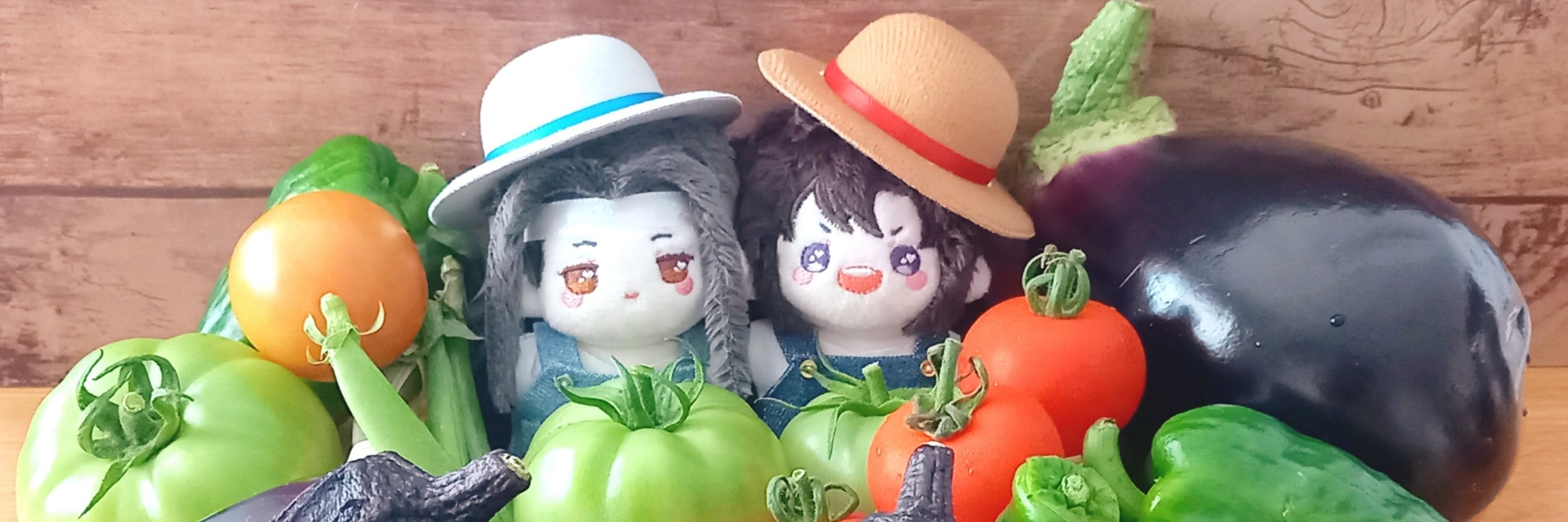 ⧉*.°よもぎ🍵*.°⧉