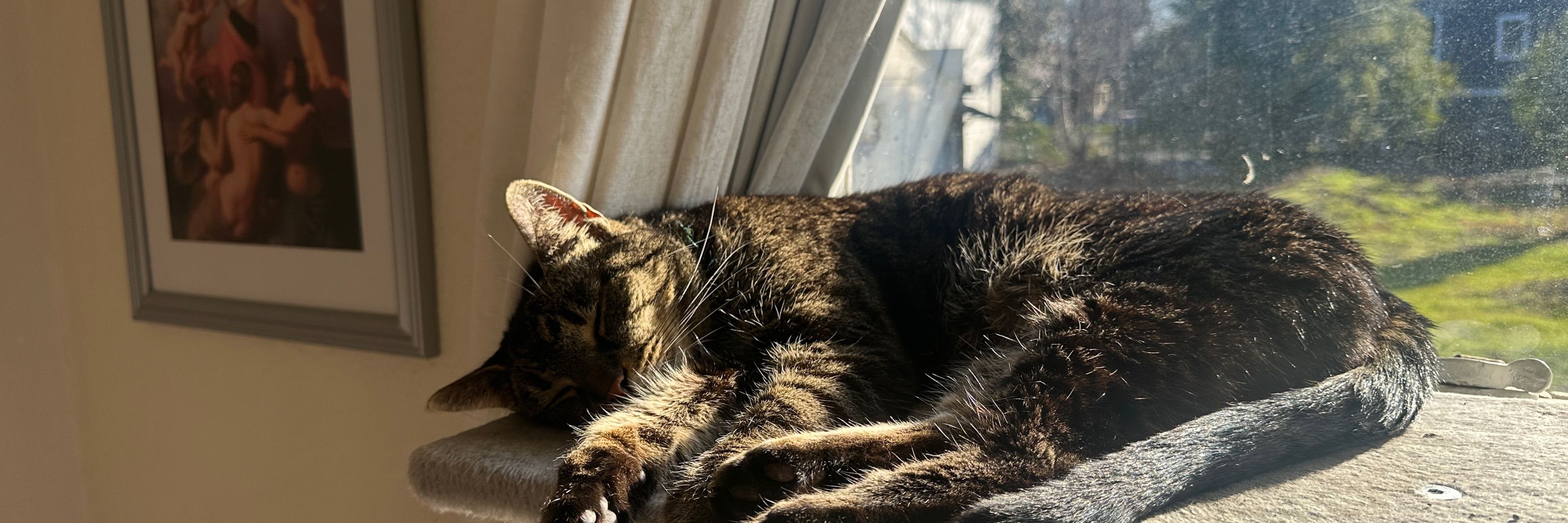 Ruby Mendoza, PhD