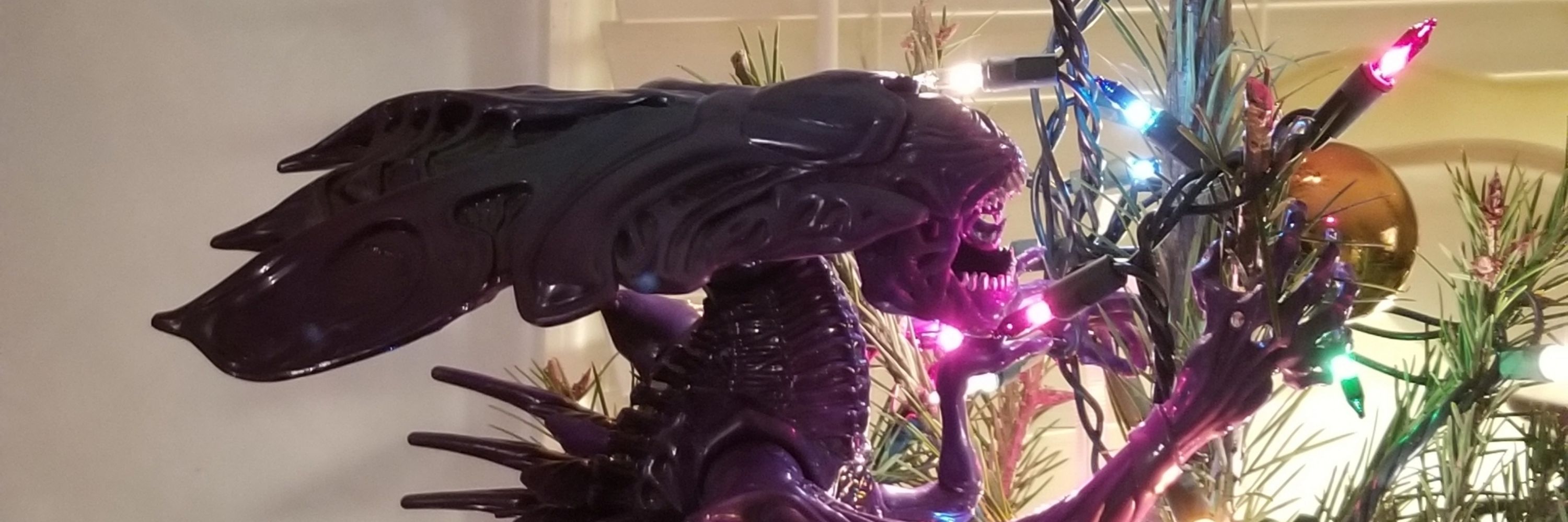 Romance reader monster