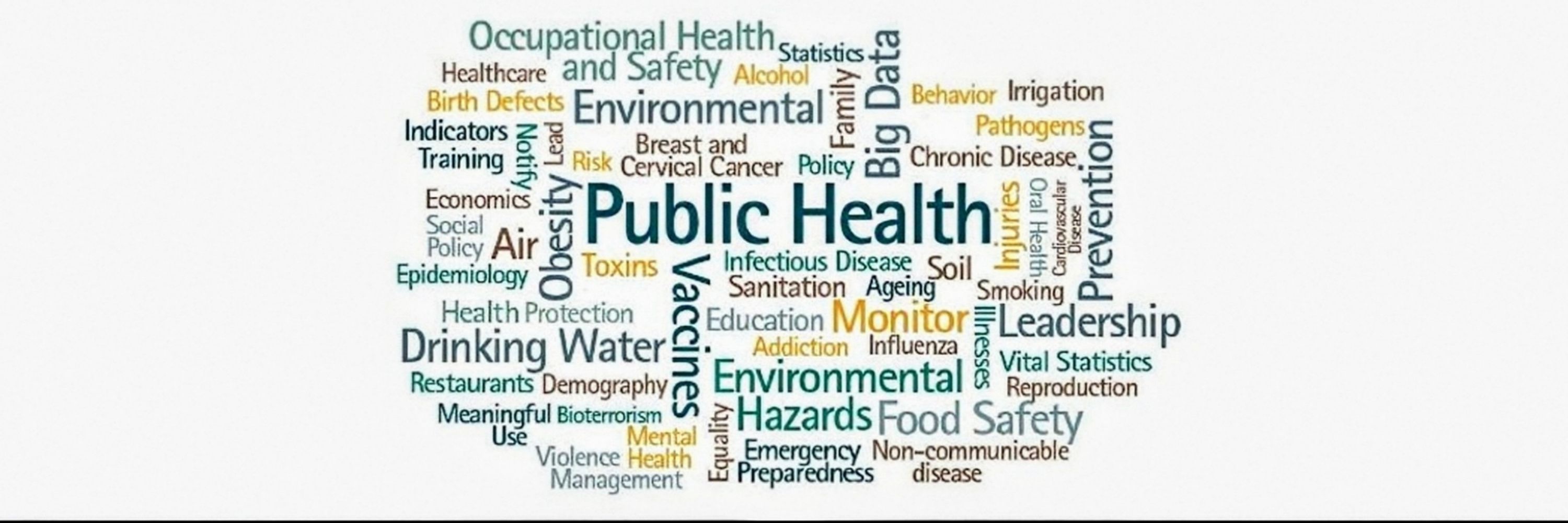 Dr Elvira Garcia, Public Health, MD, MPH, CPHM