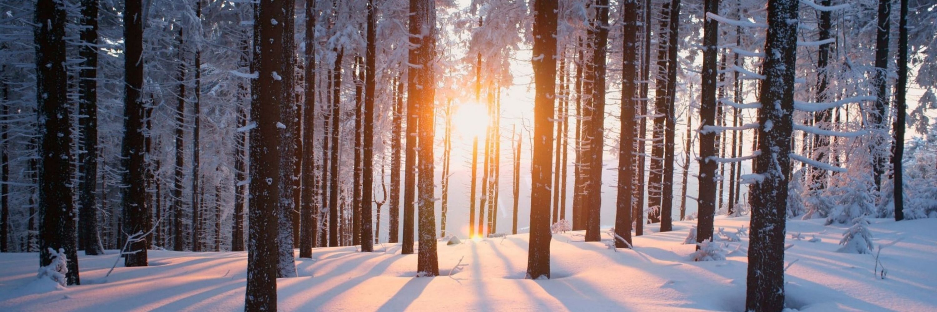A Shining Light in Darkness
