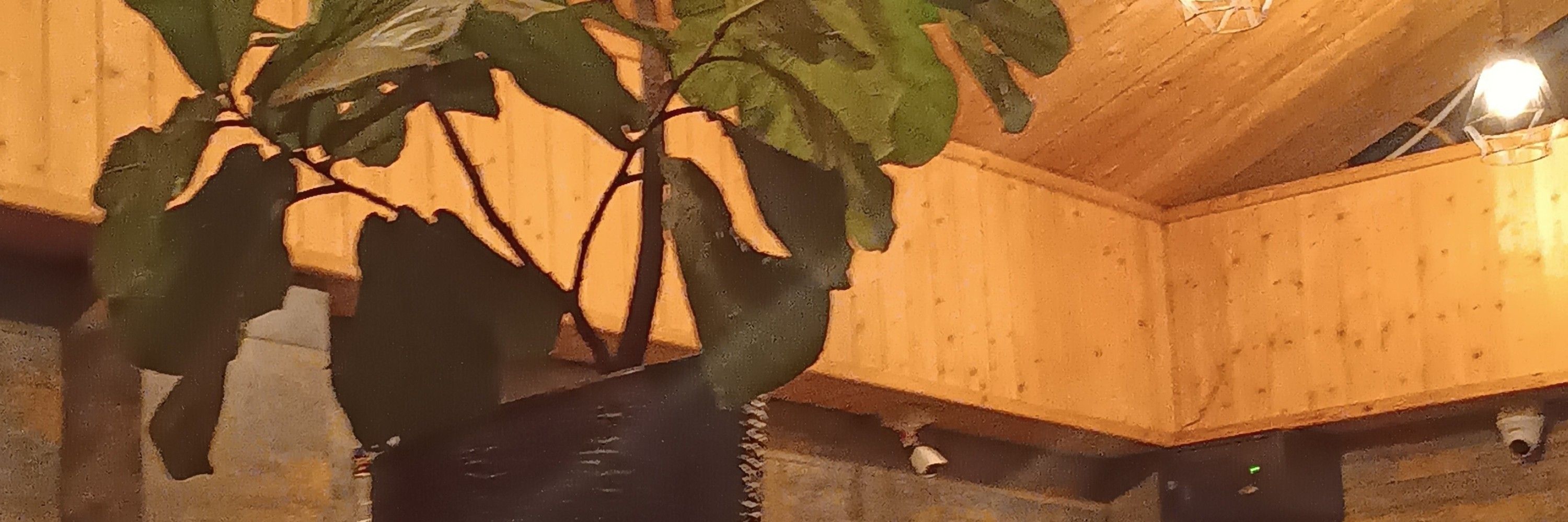 ماانی