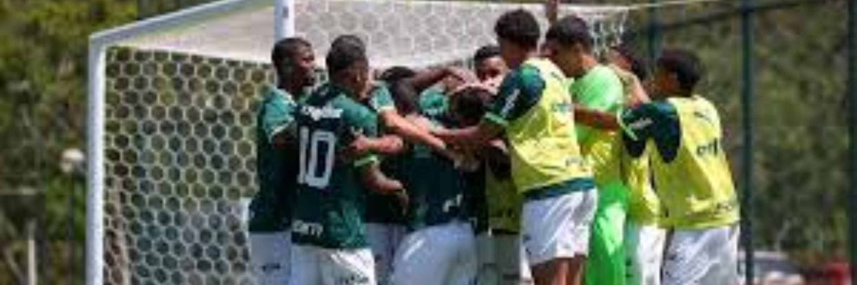 Verdão Sub-20