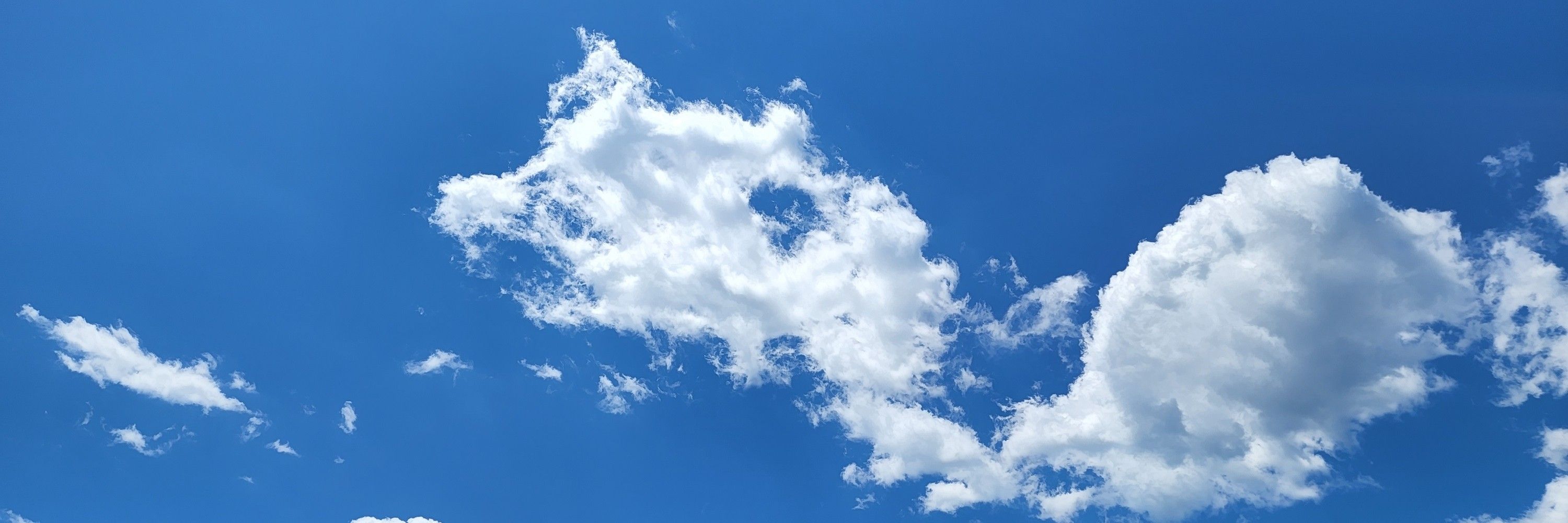 권.양.