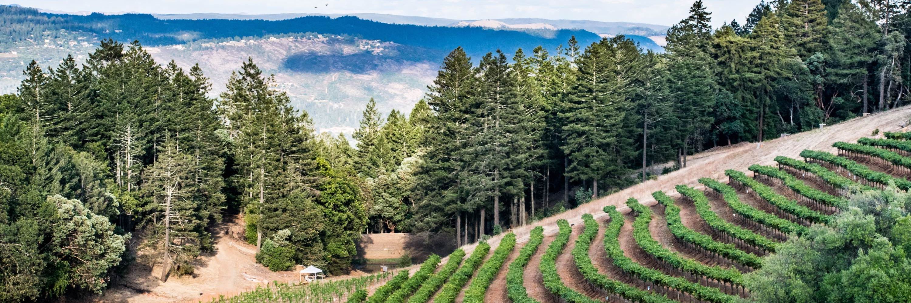 Smith-Madrone Vineyards & Winery