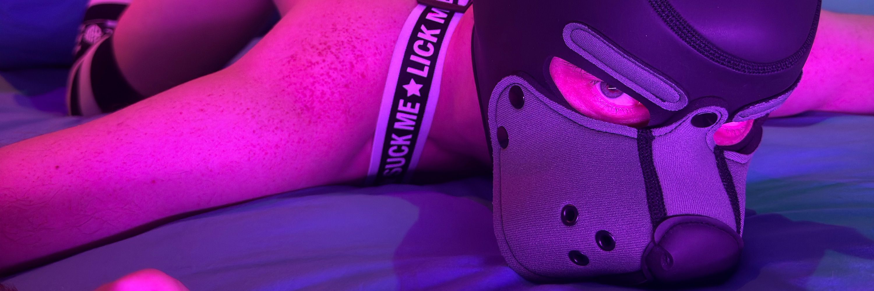 Pup Max 🔜 Klub K9 Notts