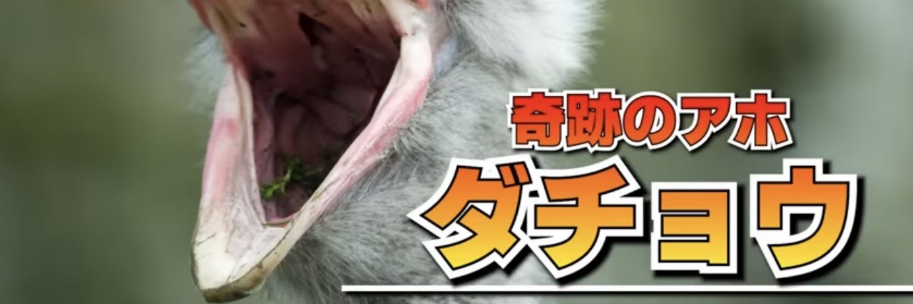 バステト37