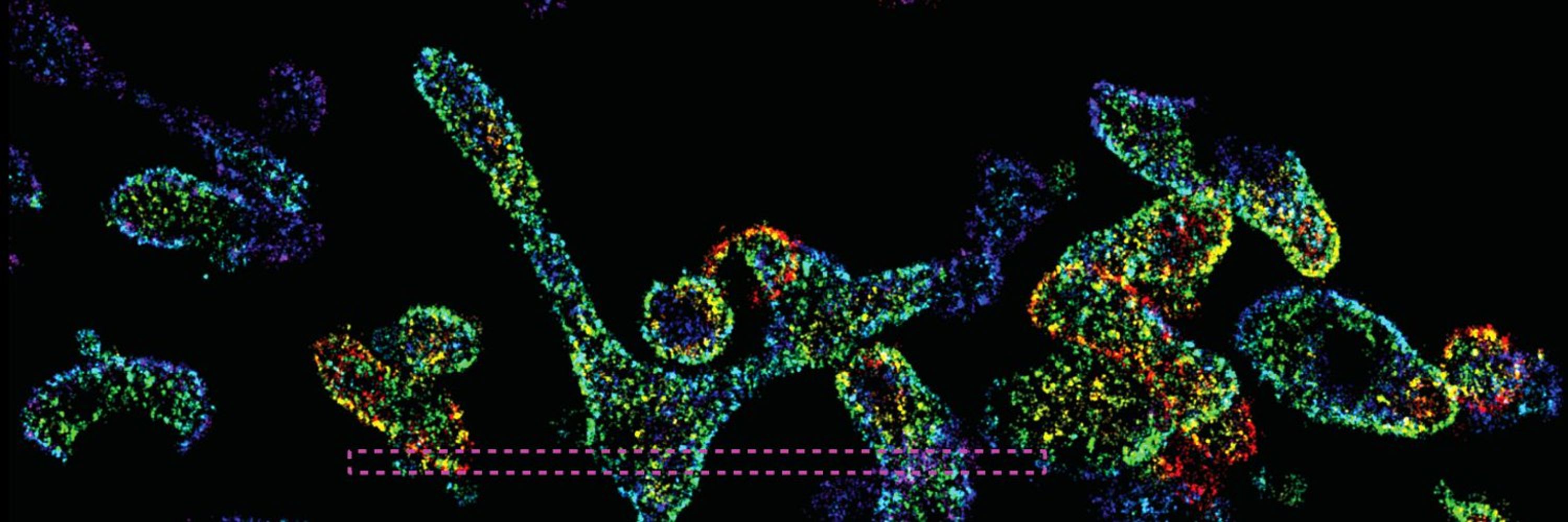 nanoSCAN project
