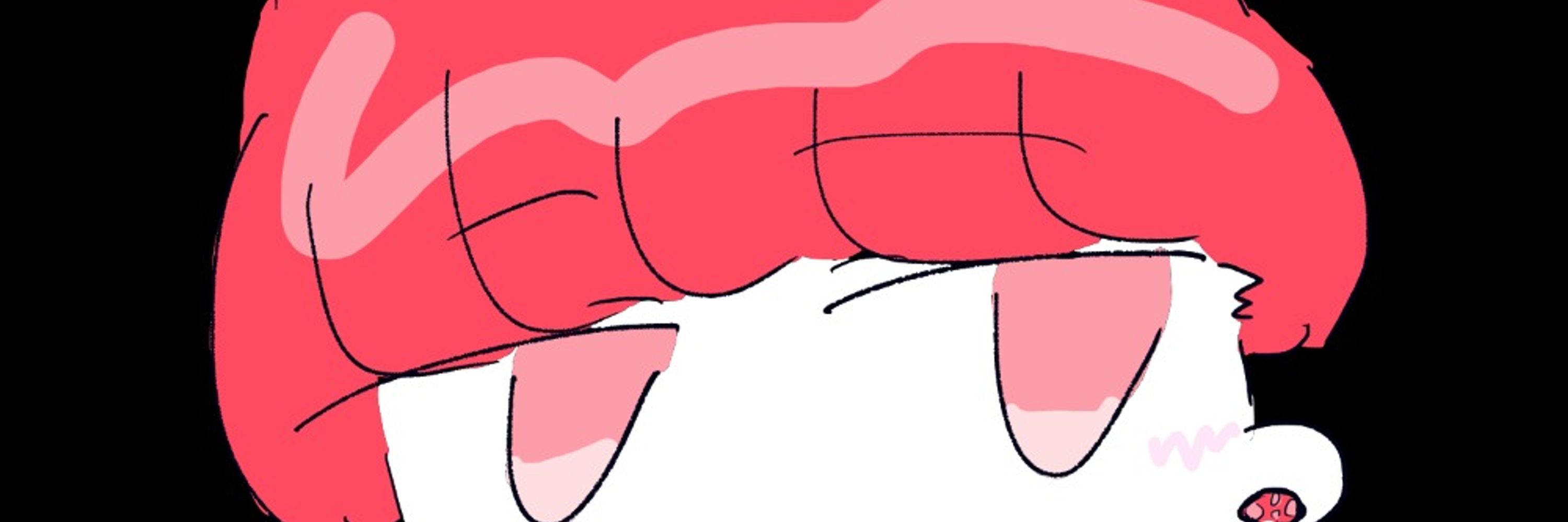 きのこ