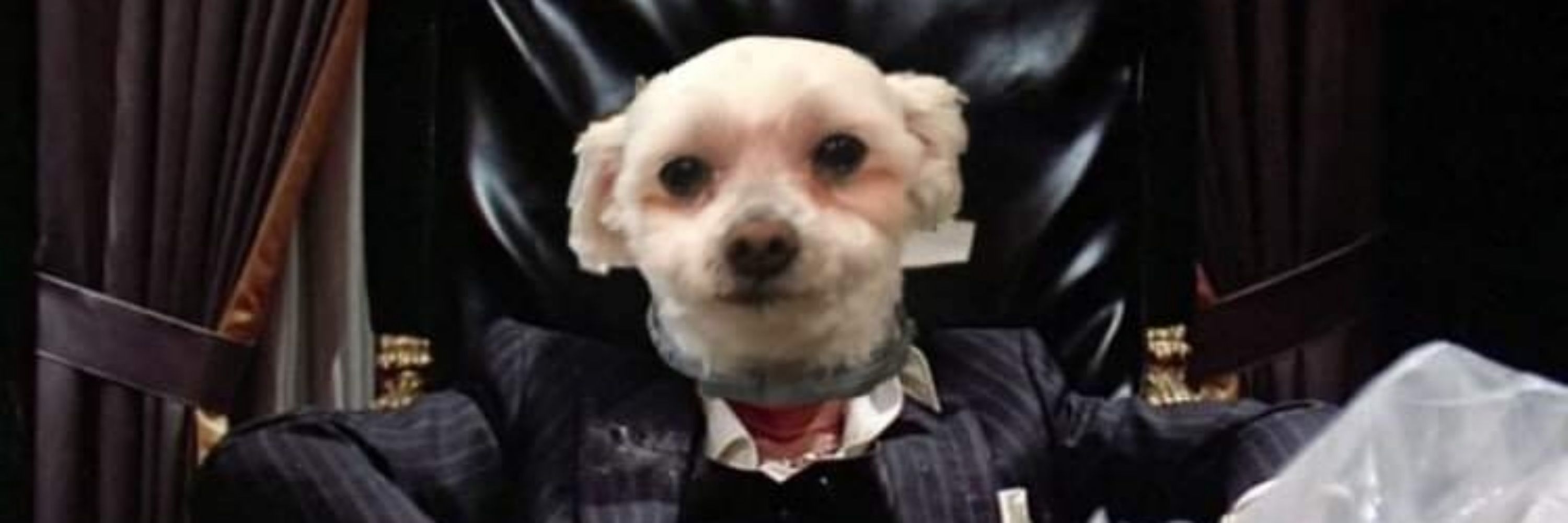 Phil DiCiano