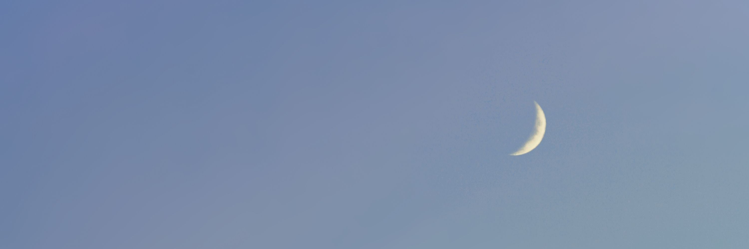 포롱