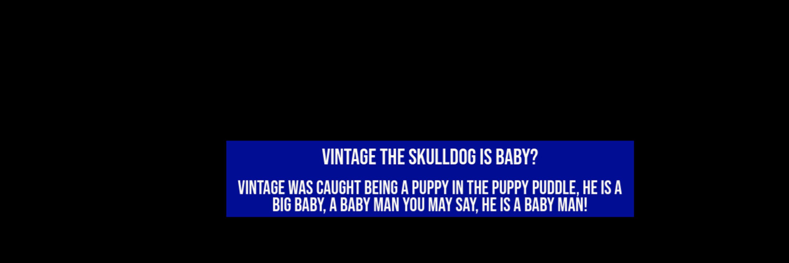 Vintage The Skulldog