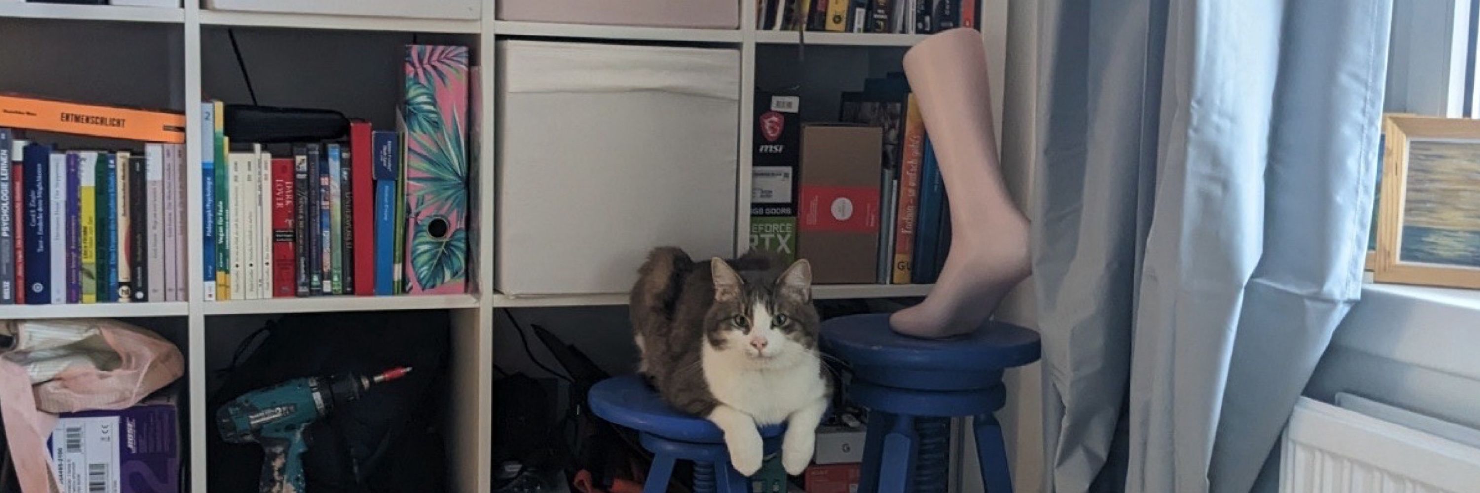 Minka
