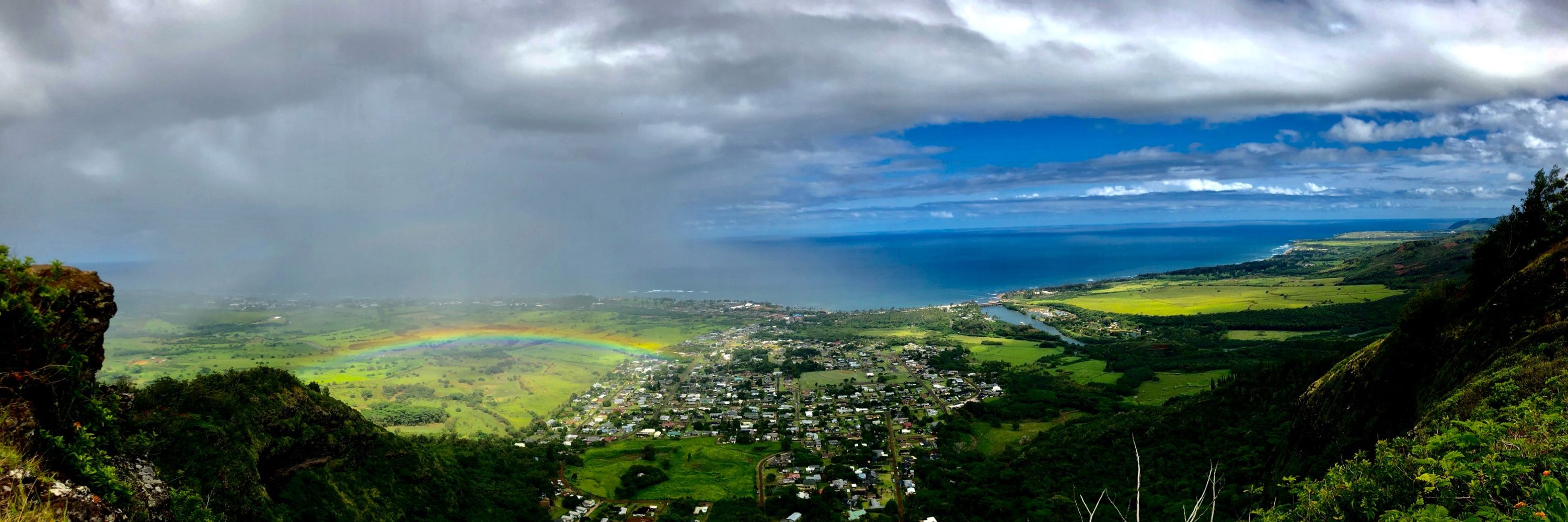 Steve Rapport Photography