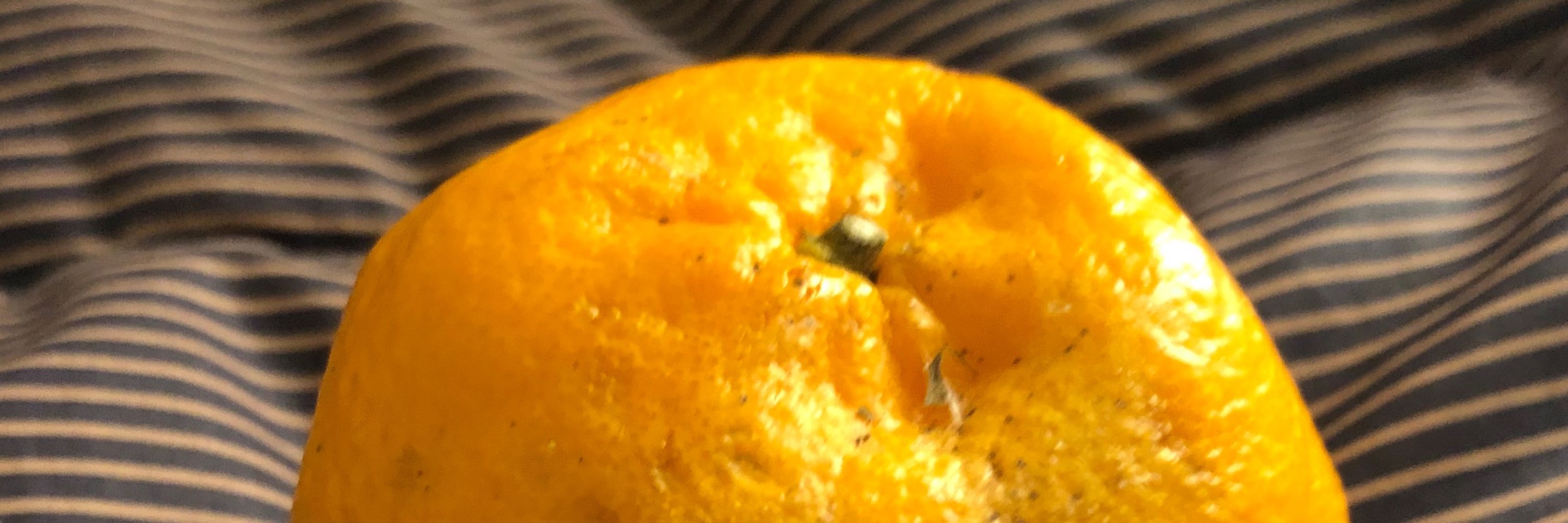 毒流し