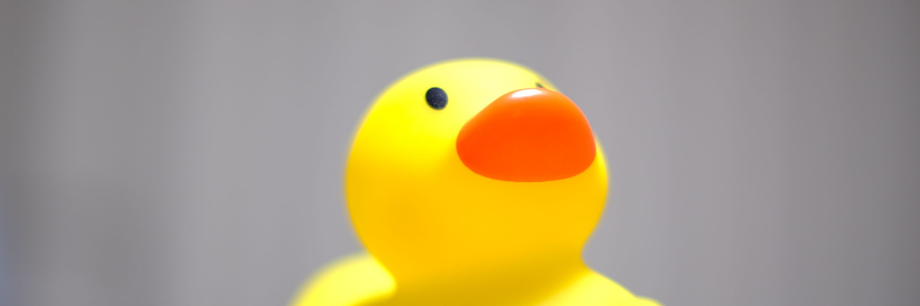 こひやま