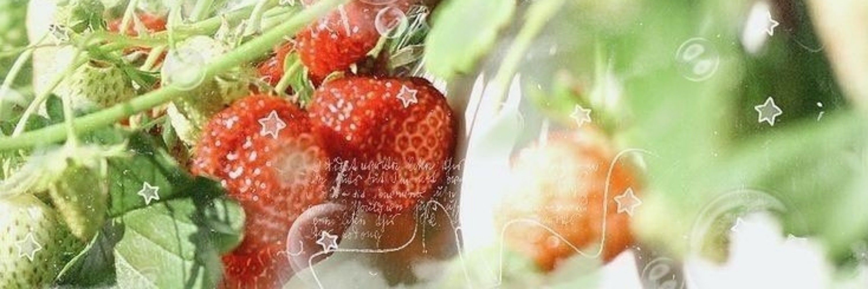 ᭝̟𝐸𝑒𝑙