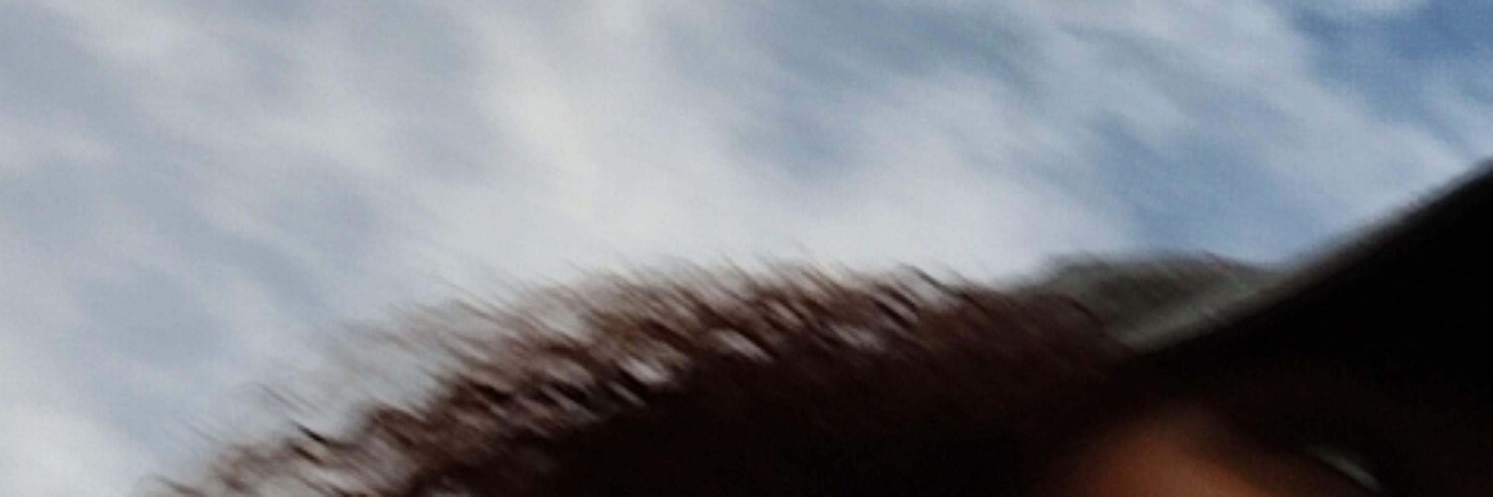 ᴍɪʟʏ.