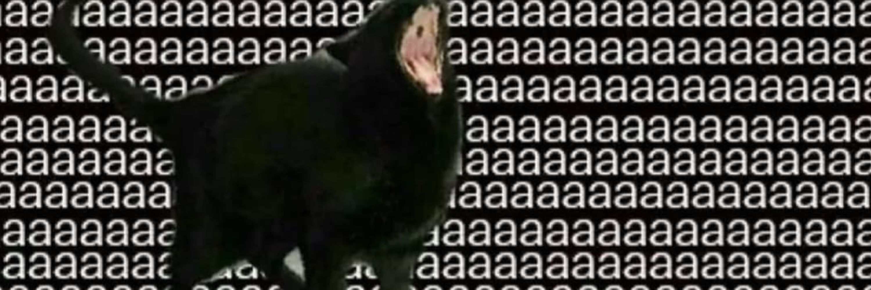 𝒸𝓇𝒶𝑜