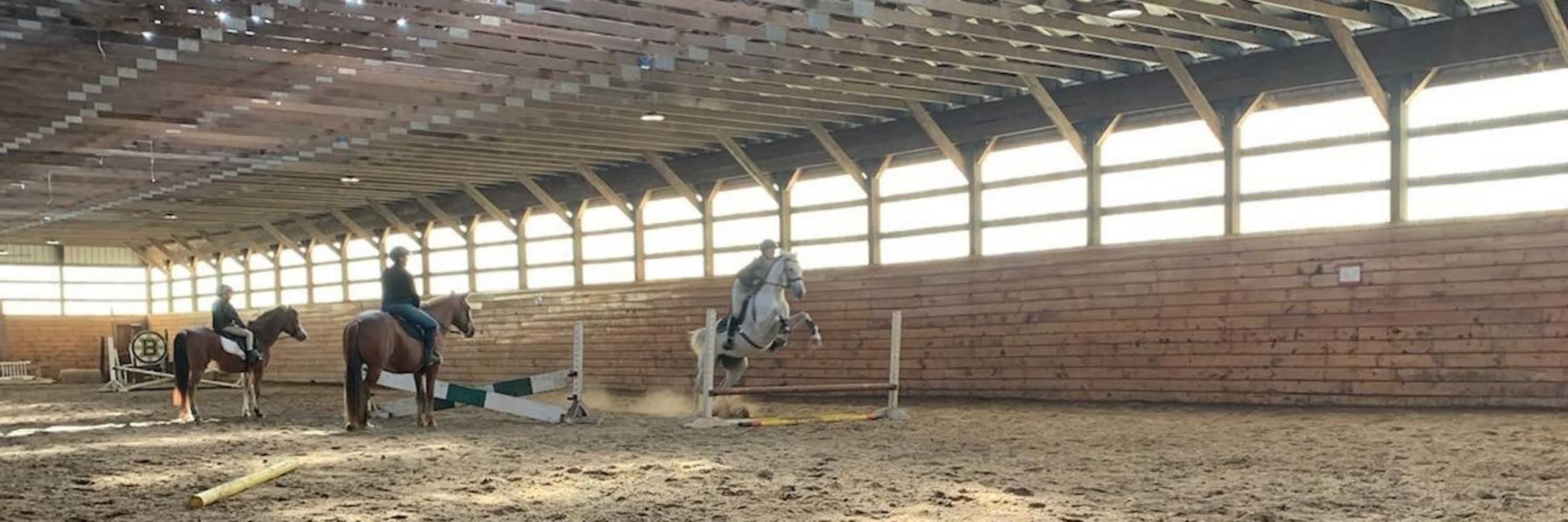 Abree 🏇🏍️