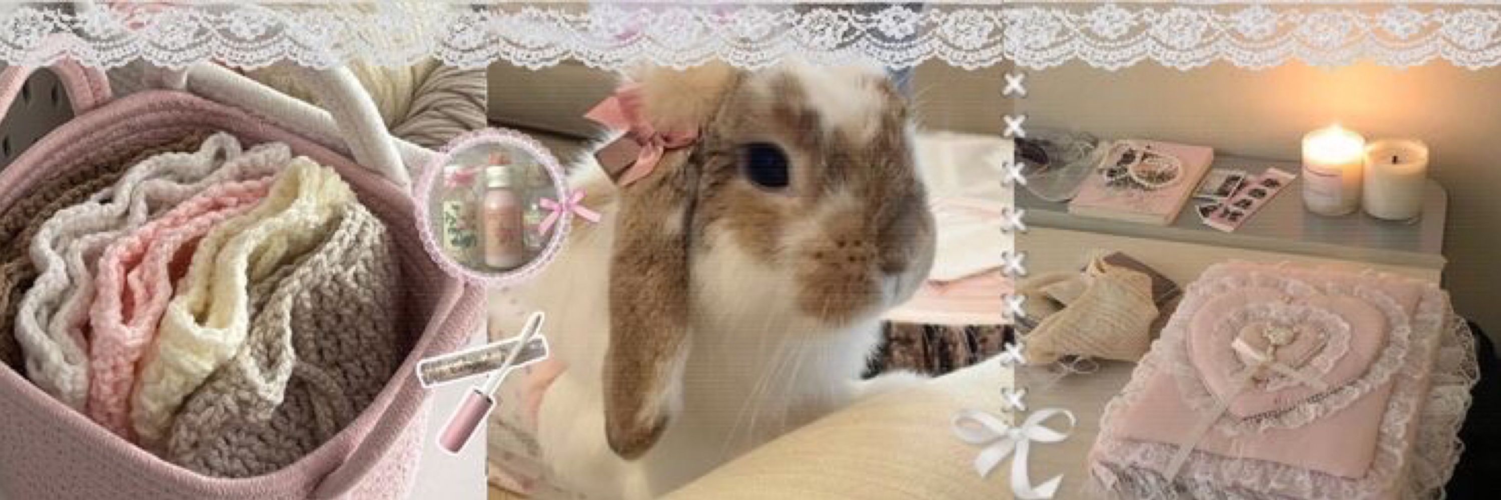 𝝑𝝔˚panpan | fsr on wa