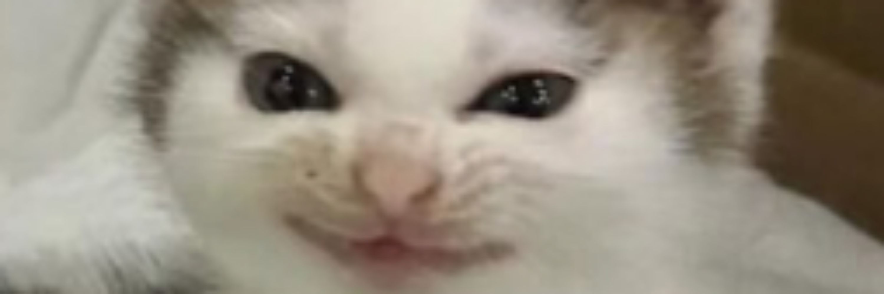 MallowMute